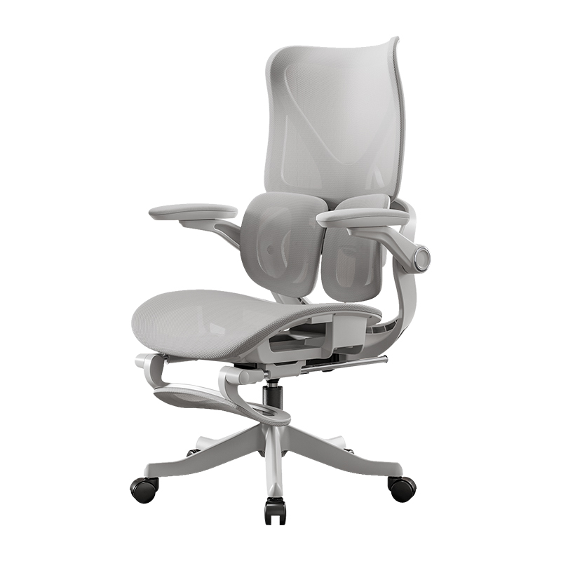 다기능 컴퓨터 사무실 의자 요추 이중 등받이 지지대 리 - Esports Gaming Chair 리뷰 및 가격